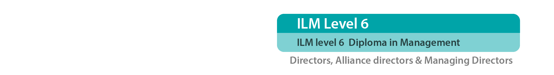 ILM Level 6 graphic